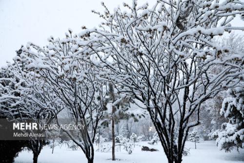 هواشناسی ایران 25 آذر کدام استان ها برف می بارد؟