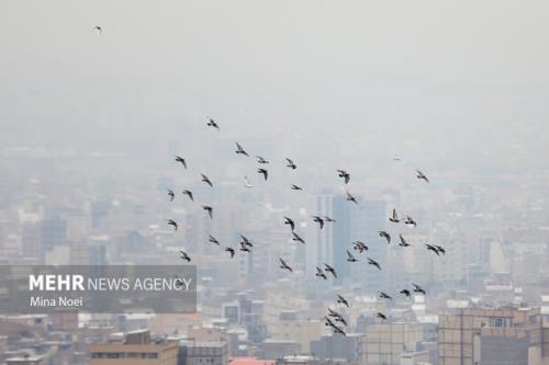 بازگشت آلودگی به کلانشهرها از روز یکشنبه بارندگی و سرما در اکثر نقاط کشور